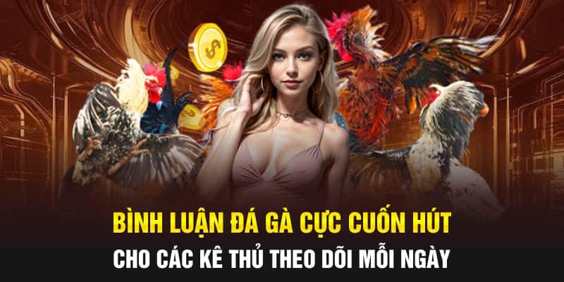 bình luân đá gà