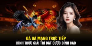 đá gà mạng trực tiếp u888