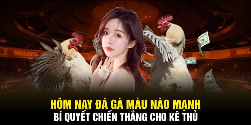 hôm nay đá gà màu nào mạnh u888